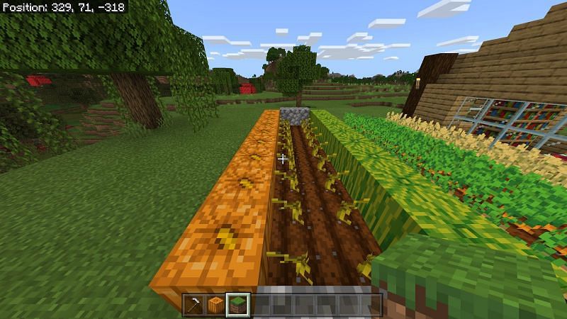 How To Grow Pumpkins In Minecraft