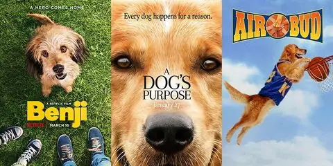 Best Dog Movies