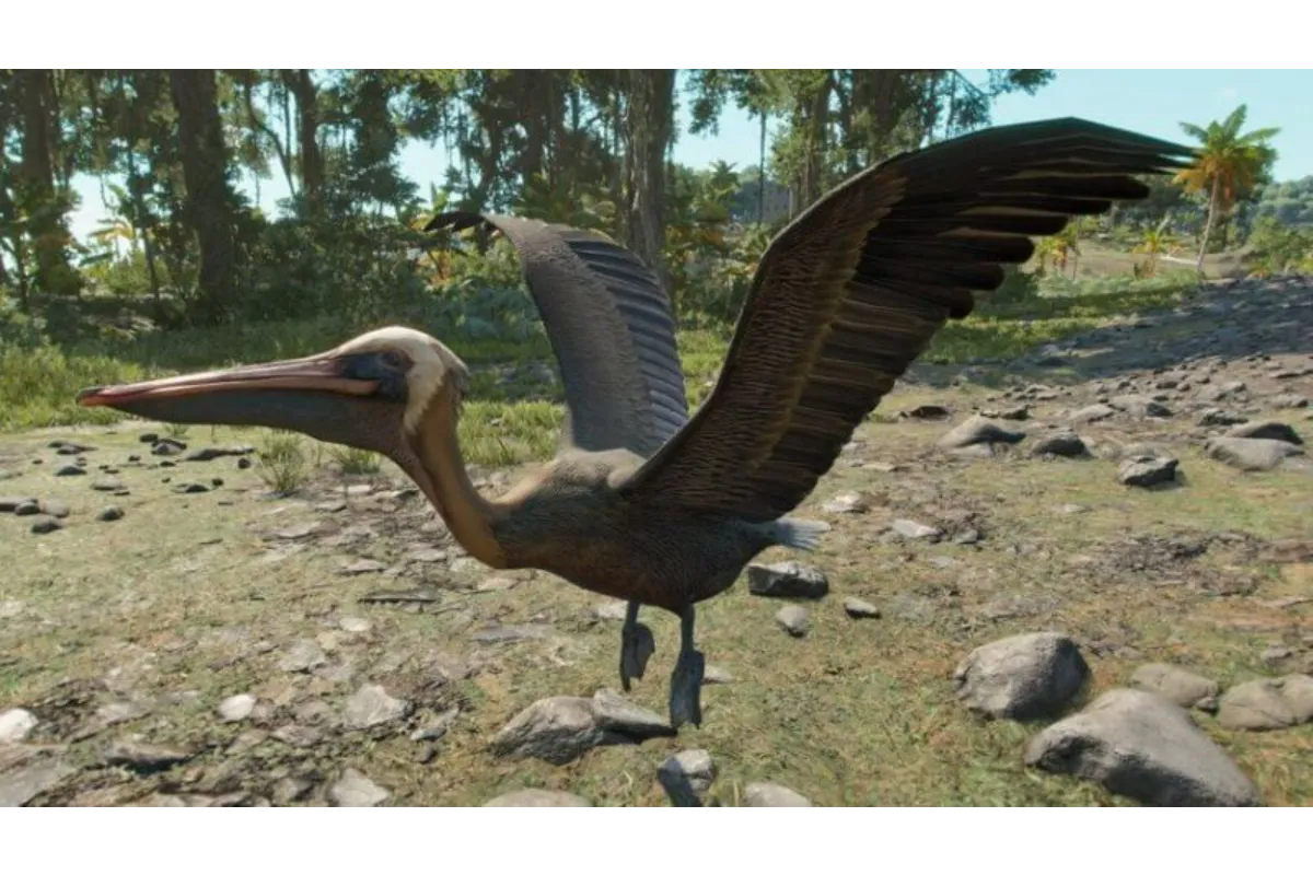 How To Feed Pelicans Far Cry 6