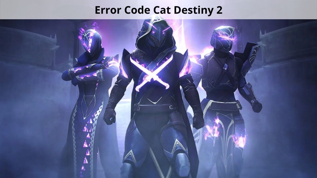 Destiny 2 Error Code Cat