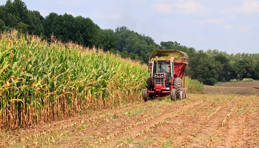 How Do Farmers Increase Their Crop Yield