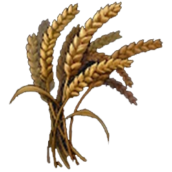 Stellar Wheat